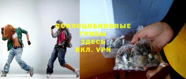 PSILOCYBIN Балабаново