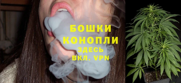 PSILOCYBIN Балабаново