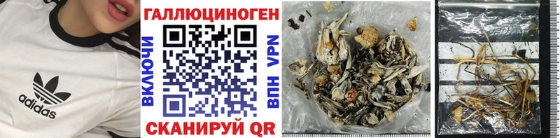 Галлюциногенные грибы прущие грибы  Новоаннинский 
